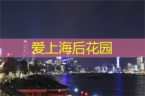 上海的传统民间艺术推广